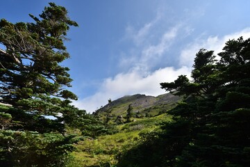 Mountain climbing in summer season