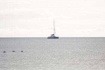 catamaran sailboat in front of horizon on gray weather background minimalism photography 