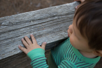 Toddler exploring in a National Park