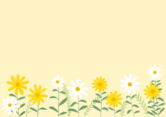 Yellow and white daisy flowers illustration.