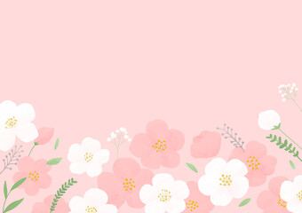 White and pink cherry blossom illustration.