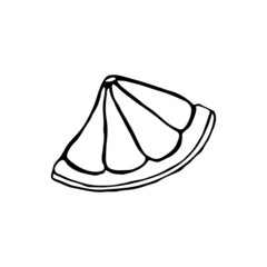 Vector isolated element. Citrus. Grapefruit. Orange. Lemon. Black hand drawn doodle on a white background. The print is used for packaging design.