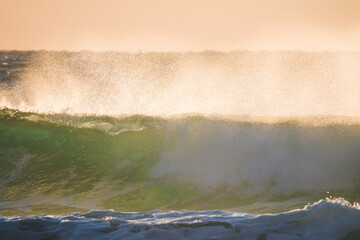 朝日の光に照らされた伊豆海