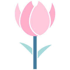 Tulip