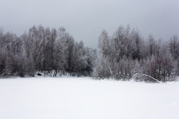 Beautiful landscape with snow covered trees and cloudy sky.