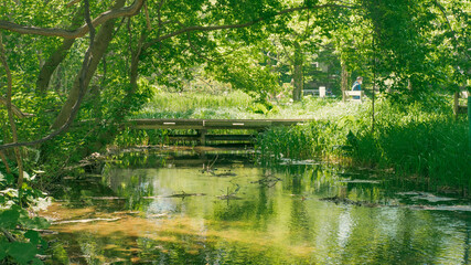 Fototapeta premium 自然の池