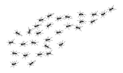 Worker ants trail line flat style design vector illustration isolated on white background. Top view of ants bug road trail marching in the line row. Pest control or insect searching concept.