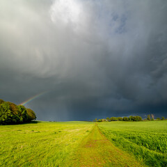 Feldweg mit Blick auf einen Regenbogen im Unwetter