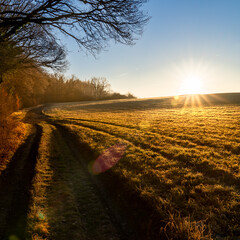 Sonnenaufgang mit Sonnenstern auf einem feldweg am Waldrand zur Winterzeit