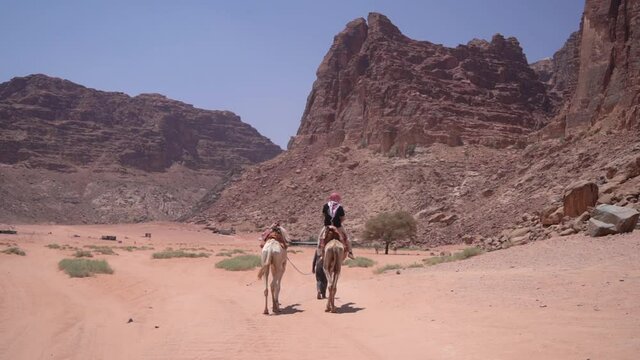 Tourist Riding Camel in Desert Landscape of Wadi Rum, Jordan on Hot Sunny Day. Back View 60fps