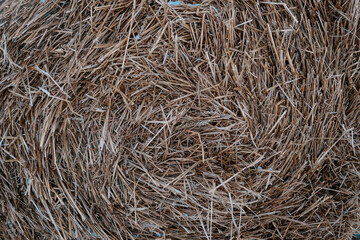 hay texture for animals in winter