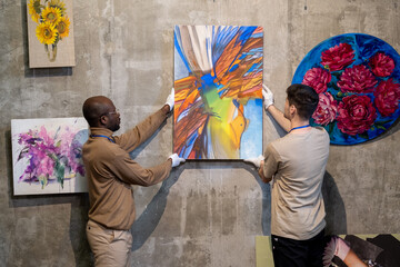 Two intercultural male workers of gallery hanging abstract painting on wall among other artworks of...