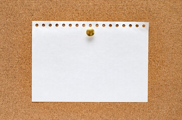 Blank paper notes are pinned to a cork board. Copy space.