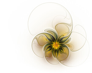 Fractal flower on a white background