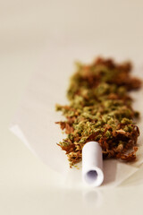 Cigarette joints , Grinder cannabis Marijuana isolated