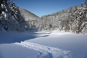 雪の積もる八ヶ岳の登山道