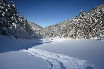 Fototapeta na wymiar 雪の積もる八ヶ岳の登山道