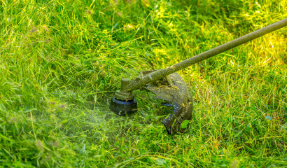 Lawn mower at work, a working man mows high grass cares for gozon. Grass-cutter closeup with copy space and space for text.