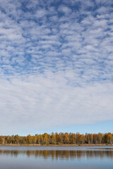 Beautiful waterside nature landscape view with pond, forest and overcast sky.