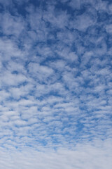 Fototapeta premium Beautiful blue sky view of lovely small clouds.