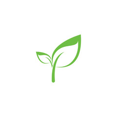 leaf logo icon vector design template
