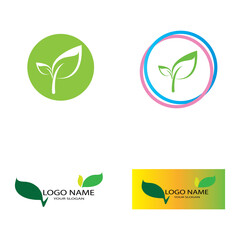 leaf logo icon vector design template