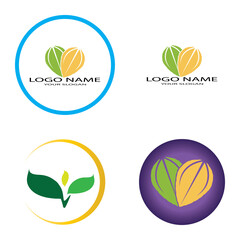 leaf logo icon vector design template
