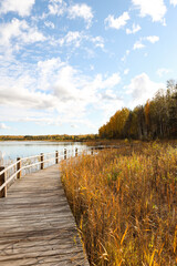Beautiful autumn landscape view near lake and forest with wood walking trail.