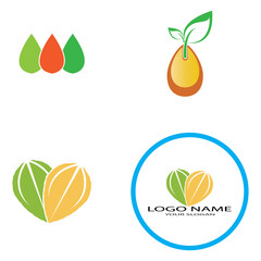 leaf logo icon vector design template