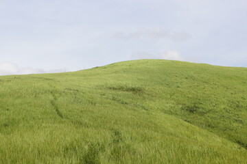 Obraz premium lanscape