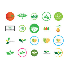 leaf logo icon vector design template