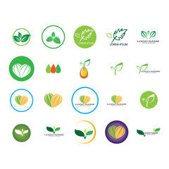 leaf logo icon vector design template