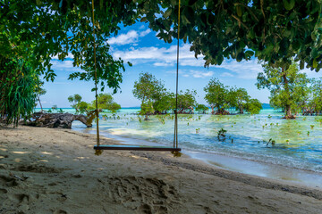 swing and the beach, Neil Island, Andaman, India