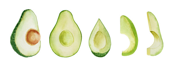 Watercolor avocado set. Half of the fruit with a stone and slices. Hand drawn green vegetable illustration on isolated background.