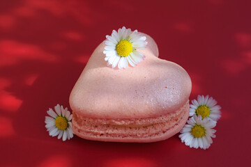 Fototapeta na wymiar Pink heart shape macaron decorated with edible daisy flowers, lights and shadows, red background. Original romantic love concept