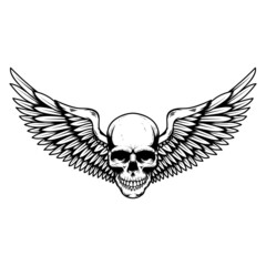 Obraz premium Winged skull . Design element for emblem, sign, badge, logo. Vector illustration