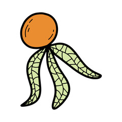 Doodle colorful physalis fruit vector illustration