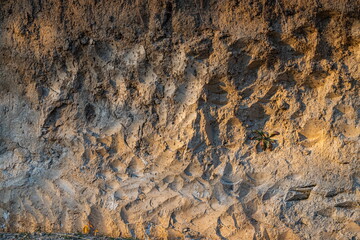 Background of brick stone wall texture. Close up image. Outdoor home decoratio