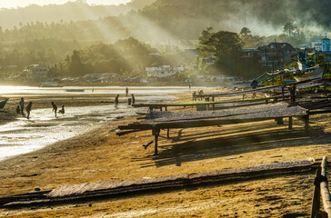 Drying the catch. Late afternoon. Traditional fishing village. Mindoro, the Philippines. 