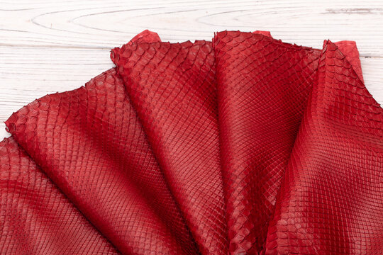 red dyed genuine natural python leather on the wooden table	
