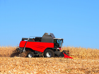 Harvesting corn field with combine in autumn