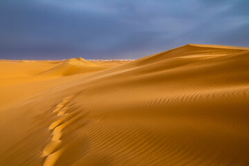 Strong wind at sunset over the sand dunes in the desert. Sandstorm in the Desert