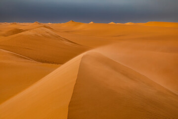 Fototapeta na wymiar Strong wind at sunset over the sand dunes in the desert. Sandstorm in the Desert