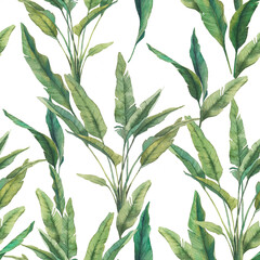 Watercolor tropical leaves seamless pattern. Hand painted exotic banana green branches on white background. Botanical wallpaper design. Summer plants texture