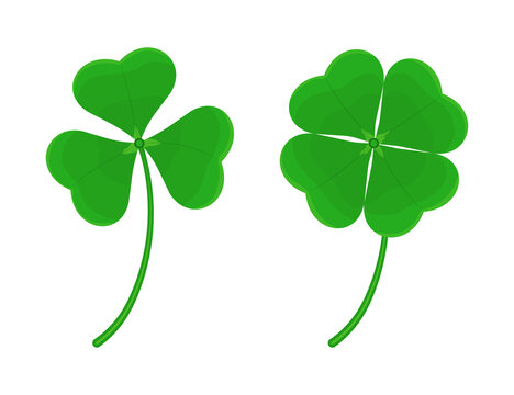 Clover with three and four leaves. Good luck symbol.
