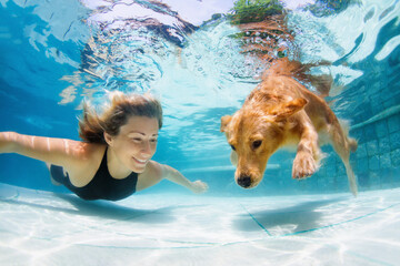 Underwater action. Young woman play with fun, training golden retriever puppy in swimming pool - jump and dive. Active water games with family pet, popular dog breed like companion on summer vacation