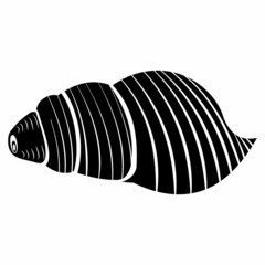 Insulated seashell. Vector illustration, black icon