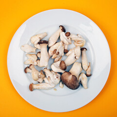 Kräuterseitlinge im Teller