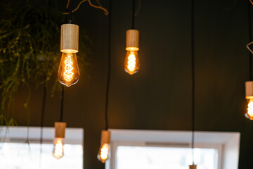 Light bulb with wooden minimal ceiling lamp design in warm green and wooden home background, with...