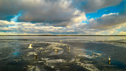 Aerial view of seagulls on a frozen lake